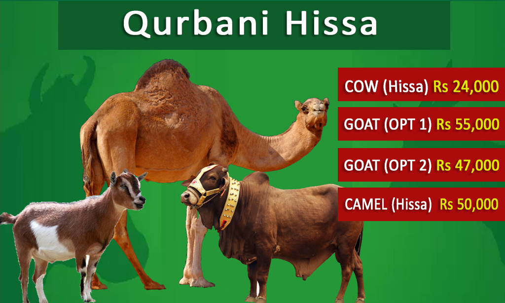 Qurbani Hissa 2025