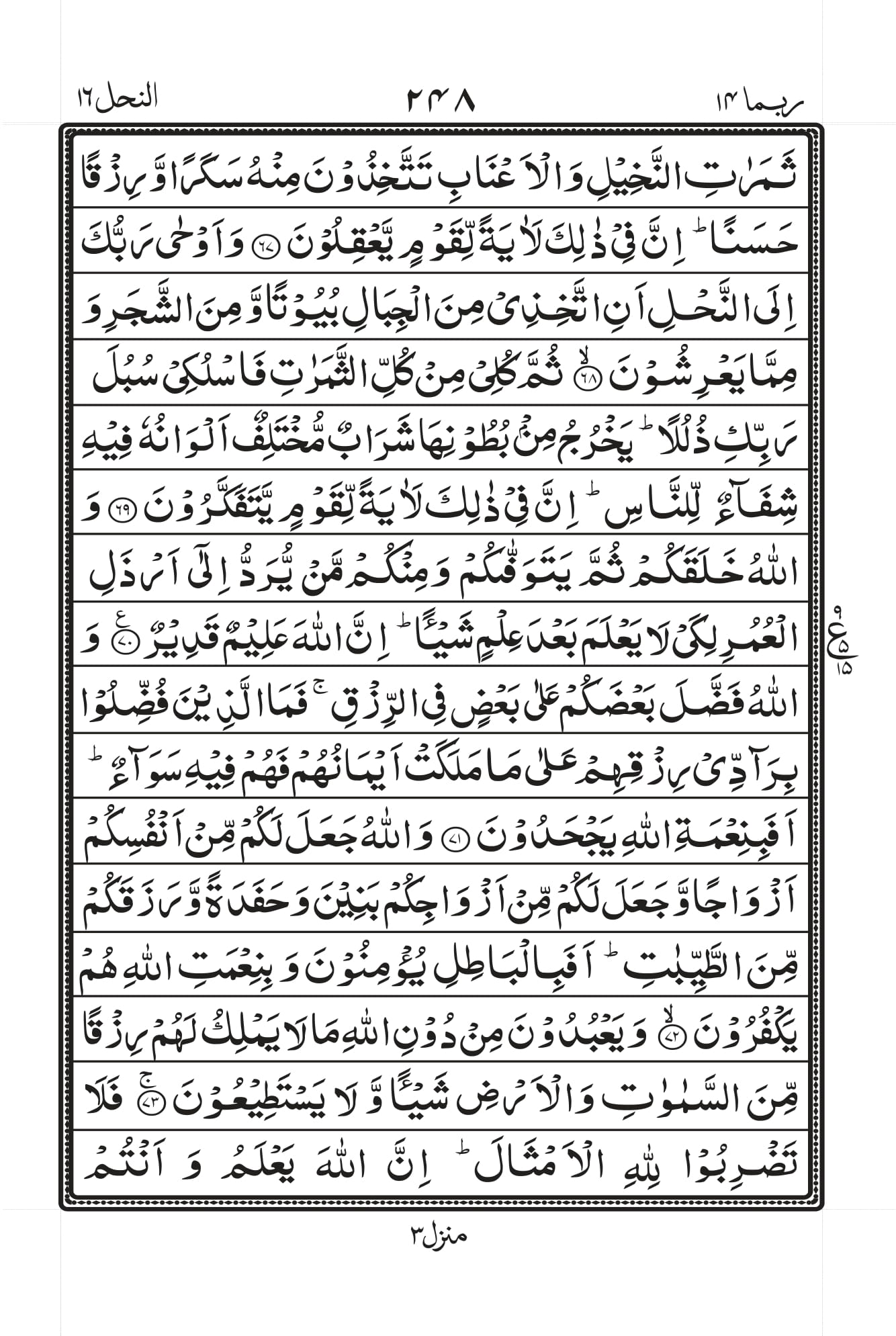 Surah Nahl 8