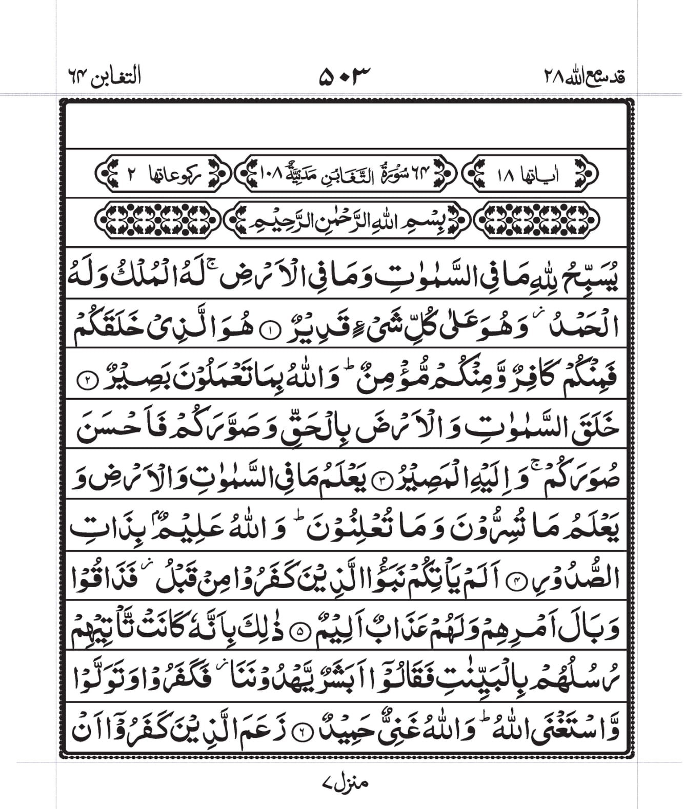 Surah Taghabun 1