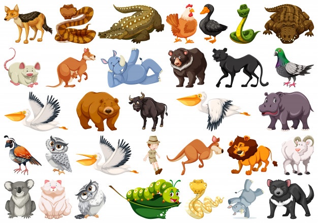 Animal Names in Urdu with Meaning - List of Animals in Urdu for English