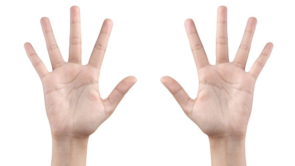 Finger Names In Urdu English With Meaning