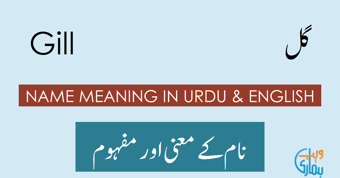 Gill Name Meaning in English Gill Muslim Boy Name 0rigin & Lucky Number