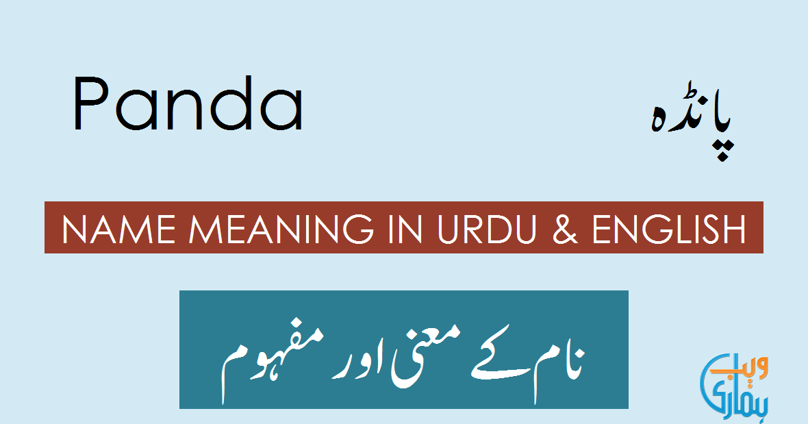 Panda Name Meaning in Urdu - پانڈہ Panda Meaning, Muslim Boy Name