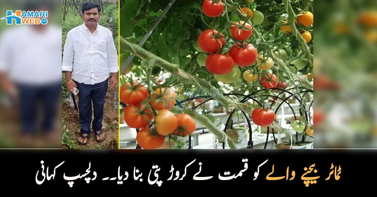 سری لنکن بچے کا دل بھی جیت لیا.. بابر اعظم سے متاثر ہو کر بچے نے کیا خاص تحفہ دیا؟دیکھیں