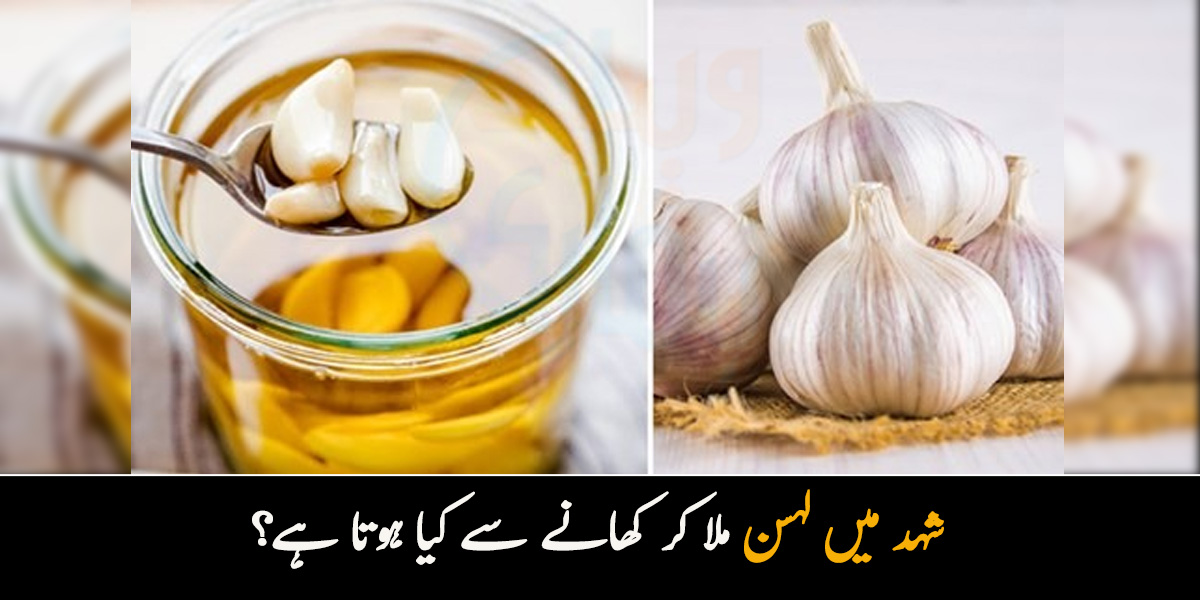  شہد میں لہسن ملا کر کھانے سے کیا ہوتا ہے؟ جانیں لہسن کا استعمال گلے کے درد میں کس طرح فائدہ پہنچا سکتا ہے؟