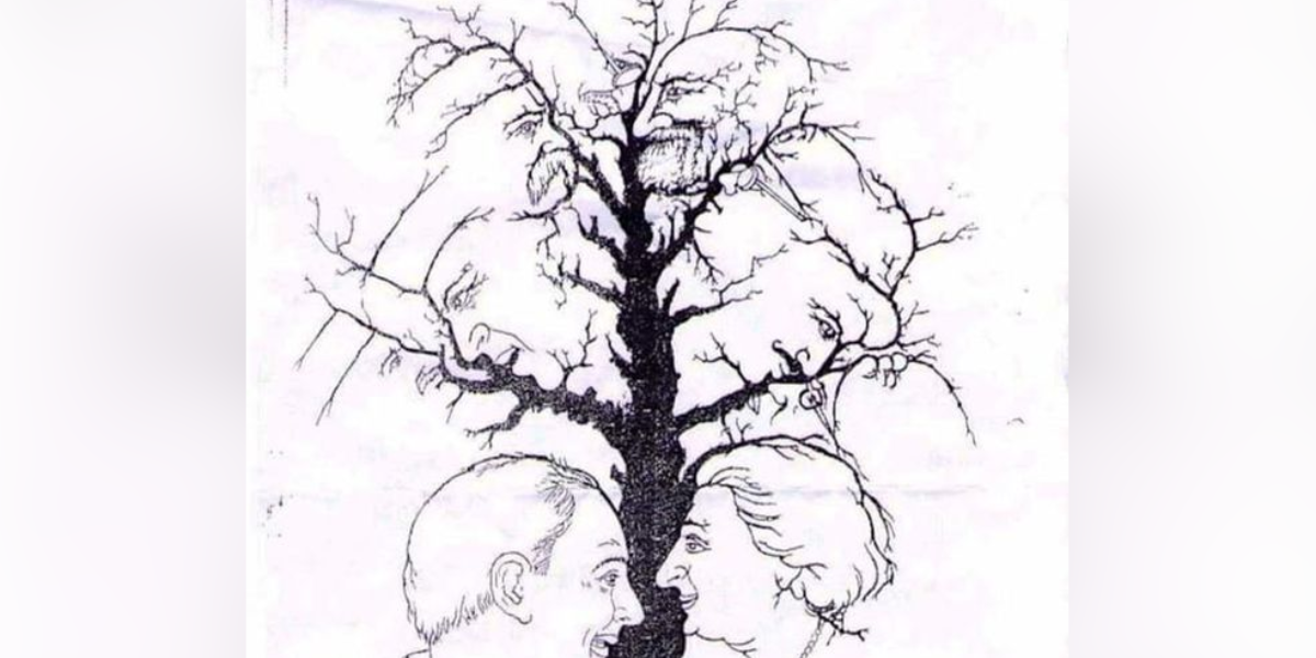 آنکھوں کا ٹیسٹ ۔۔ بتائیے اس تصویر میں کُل کتنے چہرے موجود ہیں؟ درست جواب صرف 20 سیکنڈز میں دیجیے