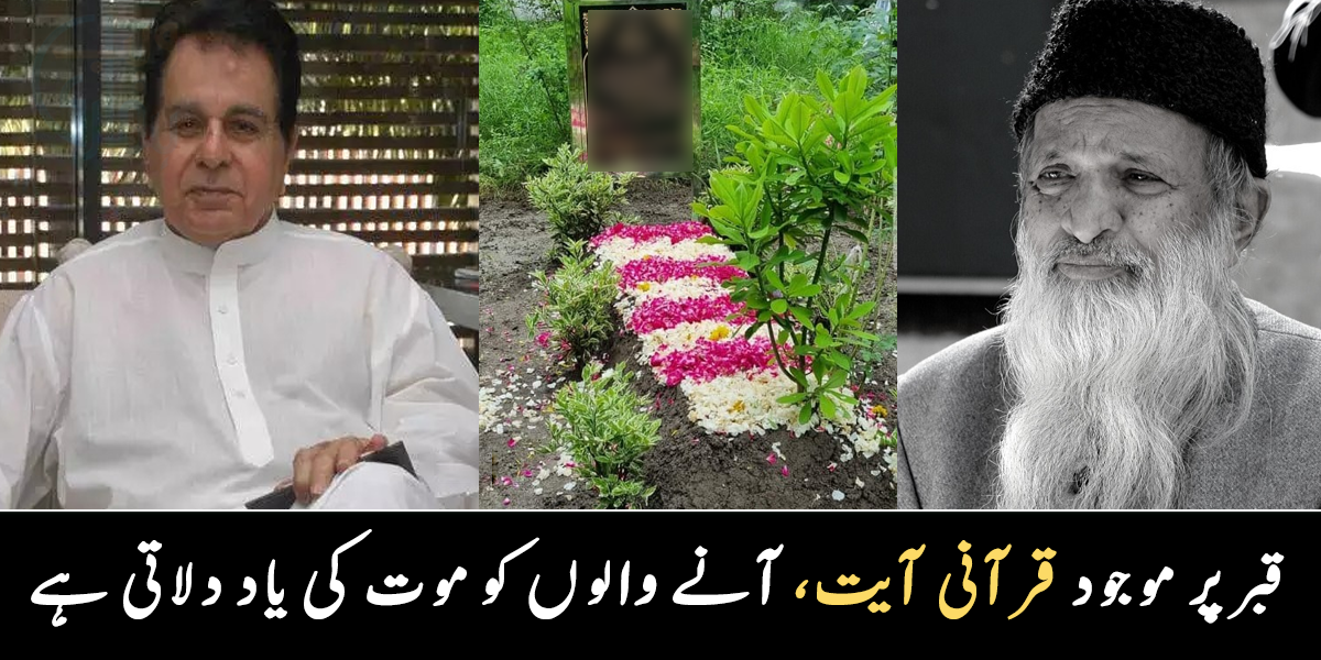 چند ماہ بعد ہی پودے کھلنے لگے ۔۔ کس کی قبر پر آیت لکھی ہے، مشہور شخصیات کی قبریں کیسی ہیں؟