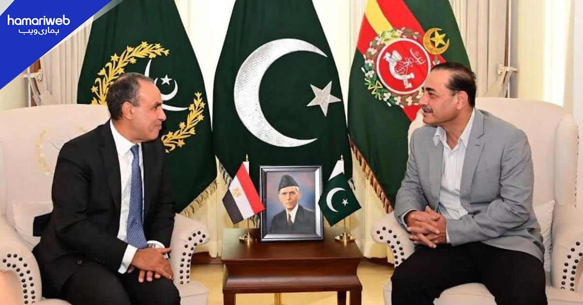 فیلڈ مارشل سے مصری وزیرِ خارجہ کی ملاقات، دفاعی و اسٹریٹجک تعاون بڑھانے پر اتفاق