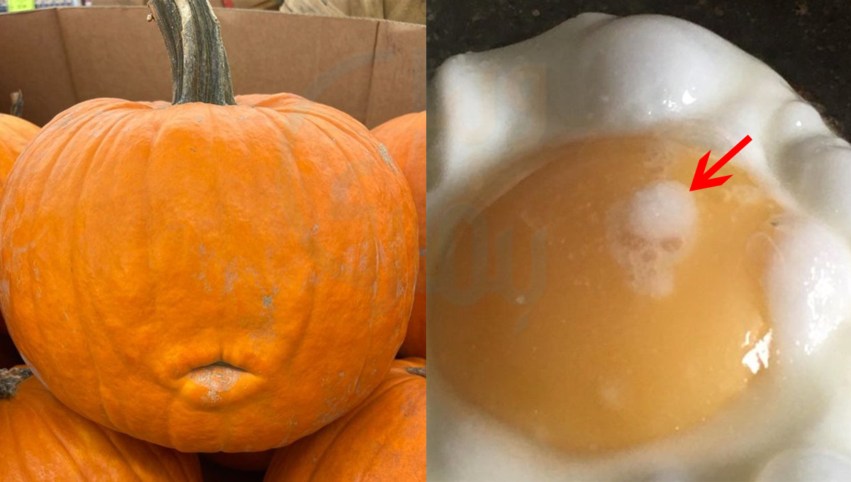 یہ کھانے کی چیزیں تو کچھ الگ ہی شکل کی ہیں ۔۔ دیکھیئے 5 ایسی دماغ کو چکرا دینے والی تصاویر جن کو عقلمند انسان بھی سمجھنے میں وقت لگادے