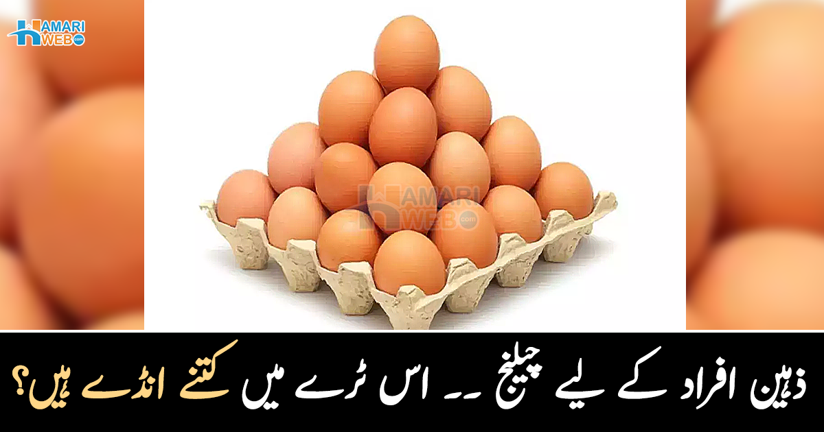اس ٹرے میں کتنے انڈے ہیں؟ ذہین افراد بھی تصویر کا درست جواب نہیں دے پائیں گے