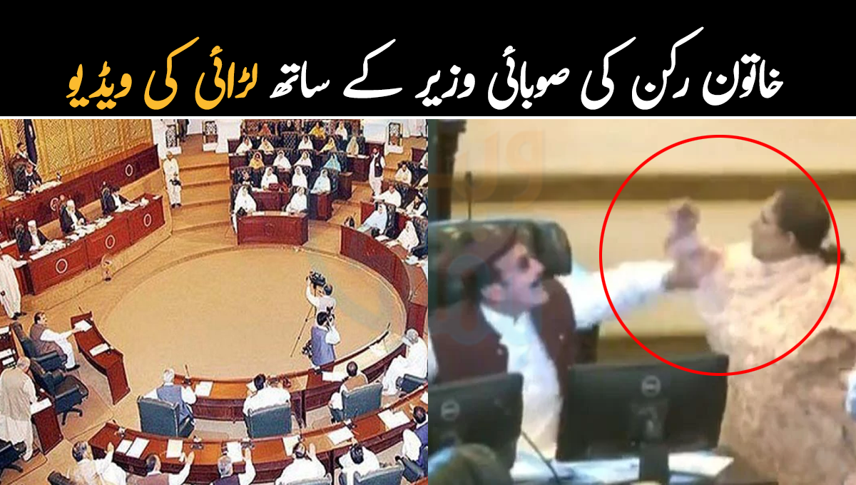 ایوان اکھاڑا بن گیا ۔۔ کے پی اسمبلی میں خاتون رکن کی صوبائی وزیر کے ساتھ لڑائی کی ویڈیو