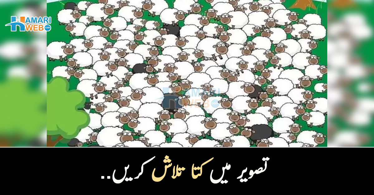 تصویر میں کتا تلاش کریں اور اپنے ذہین ہونے کا ثبوت دیں۔۔ 80 فیصد لوگ کتا تلاش کرنے میں ناکام ہوجاتے ہیں