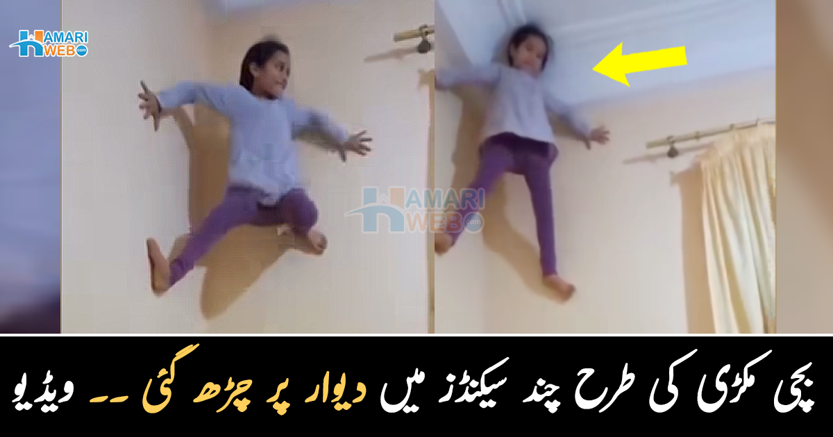 مکڑی کی طرح چند سیکنڈز میں دیوار پر چڑھ گئی ۔۔ بچی کس طرح دیوار پر چڑھی ، ویڈیو دیکھ کر آپ کو بھی یقین نہیں آئے گا
