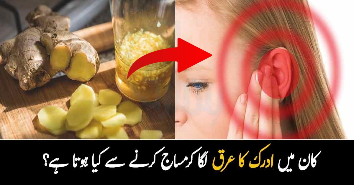 کان میں ادرک کا عرق لگا کرمساج کرنے سے کیا ہوتا ہے؟