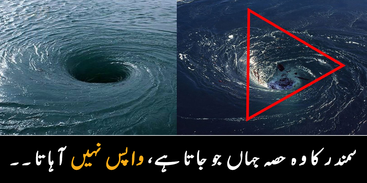 سمندر میں پانی ایسے کیوں ہو جاتا ہے اور اسے کیا کہتے ہیں؟ جانیے اس سے متعلق وہ باتیں، جو بہت کم لوگ جانتے ہیں