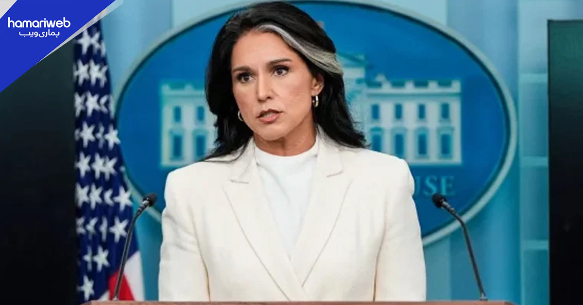 نیٹو اور یورپی یونین امریکا کو روس کے خلاف جنگ میں گھسیٹنا چاہتے ہیں، تلسی گبارڈ