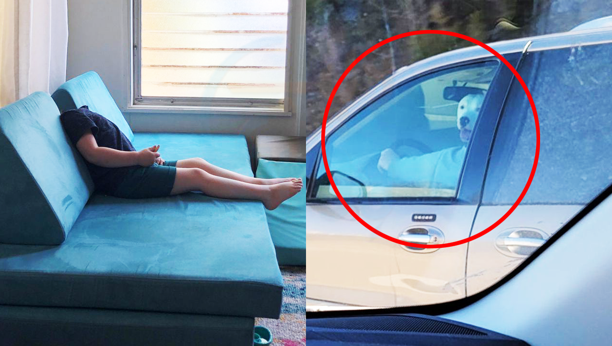 سر کہاں غائب ہوگیا اور کتا گاڑی کیسے چلانے لگا ؟ آنکھوں کو دھوکہ دینے والی 5 تصاویر جو یقیناً آپ کو غلط ثابت کردیں گی