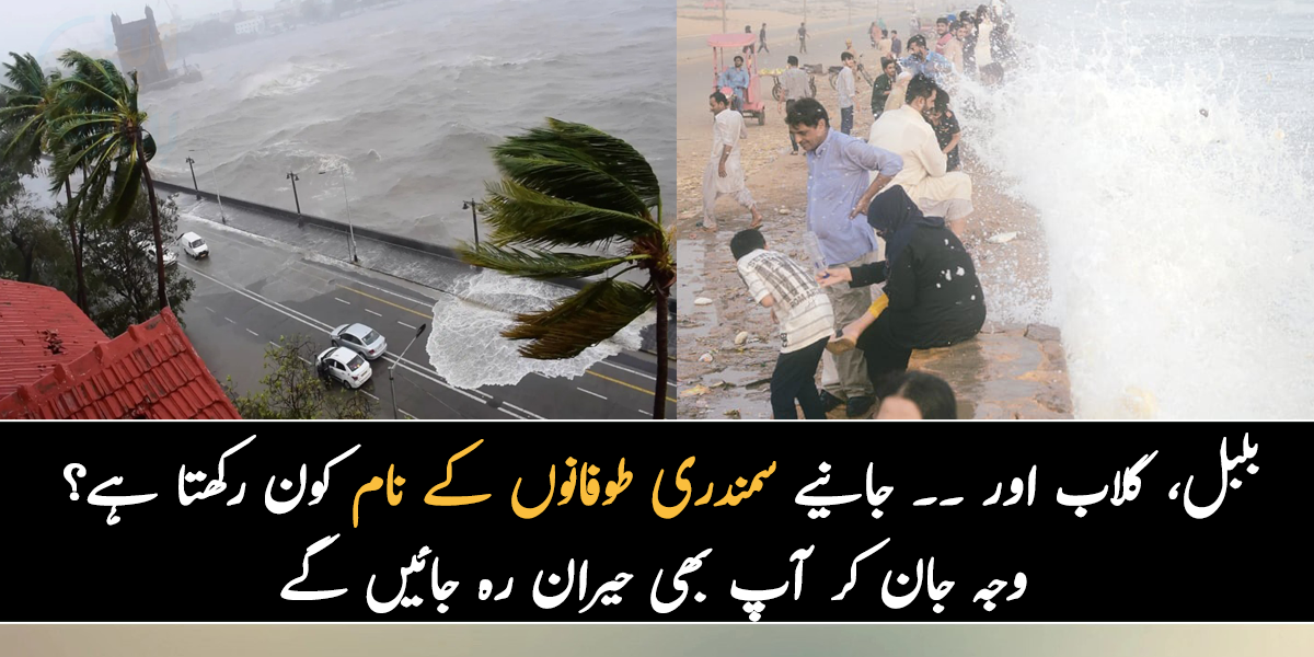 بلبل، گلاب اور ۔۔ جانیے سمندری طوفانوں کے نام کون رکھتا ہے؟ وجہ جان کر آپ بھی حیران رہ جائیں گے