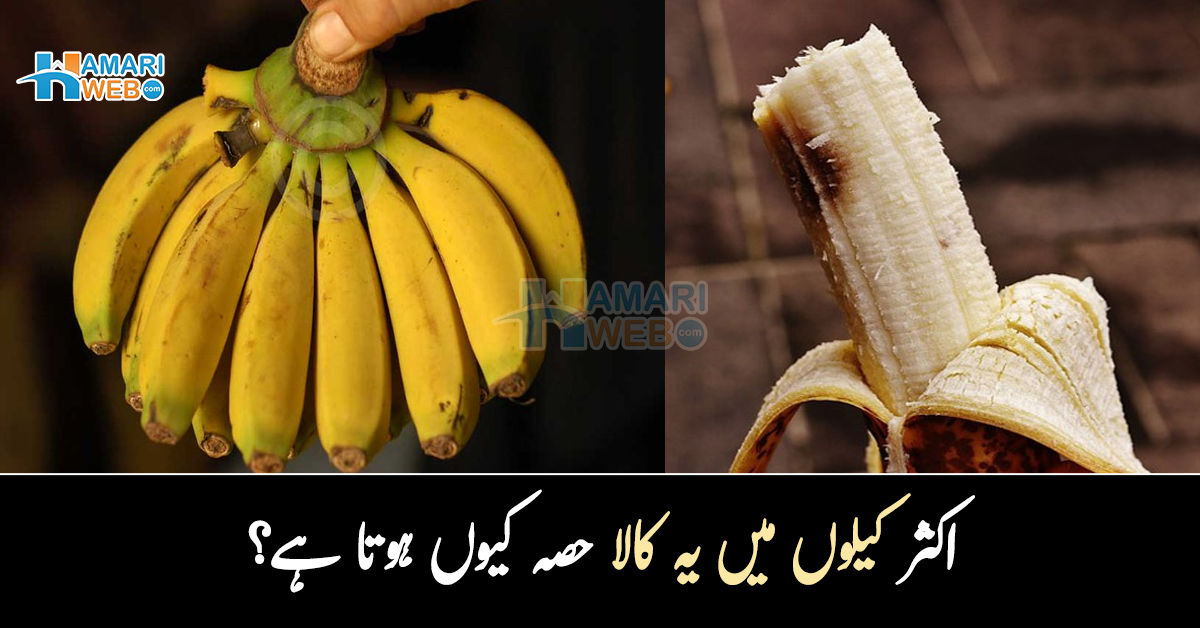 اکثر کیلوں میں یہ کالا حصہ کیوں ہوتا ہے۔۔ کیا اسے کھانے سے کوئی نقصان ہوتا ہے؟ جانیں 