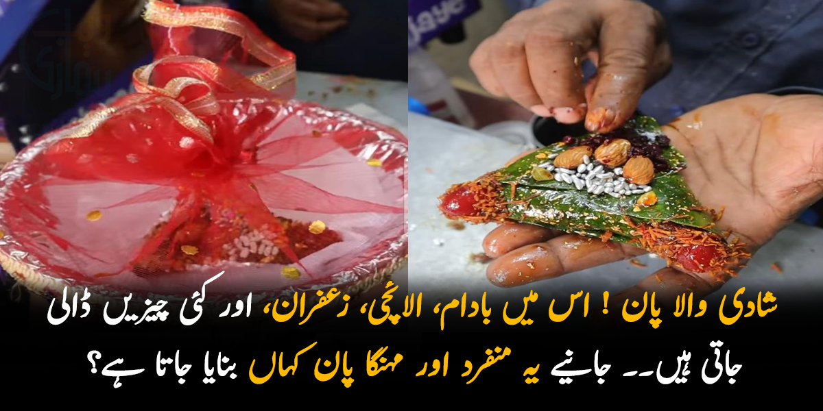 شادی والا پان ! اس میں بادام، الائچی، زعفران، اور کئی چیزیں ڈالی جاتی ہیں۔۔ جانیے یہ منفرد پان کہاں بنایا جاتا ہے اور اس کی قیمت 2100 روپے کیوں ہے؟َ