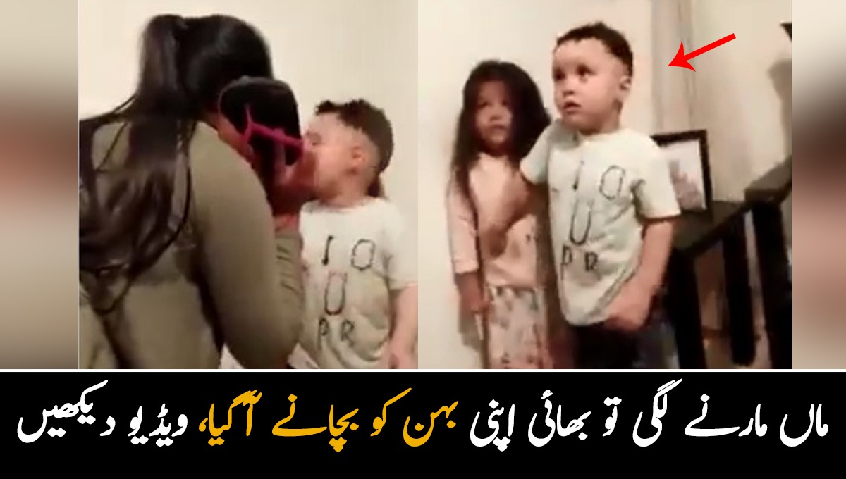 بہن کی غلطی کی سزا مجھے دے دو لیکن اس پر ہاتھ نہ اٹھانا ۔۔ بچی کی غلطی پر ماں مارنے لگی تو بھائی اپنی ننھی بہن کو بچانے کے لیے آگے آگیا، ویڈیو دیکھیئے