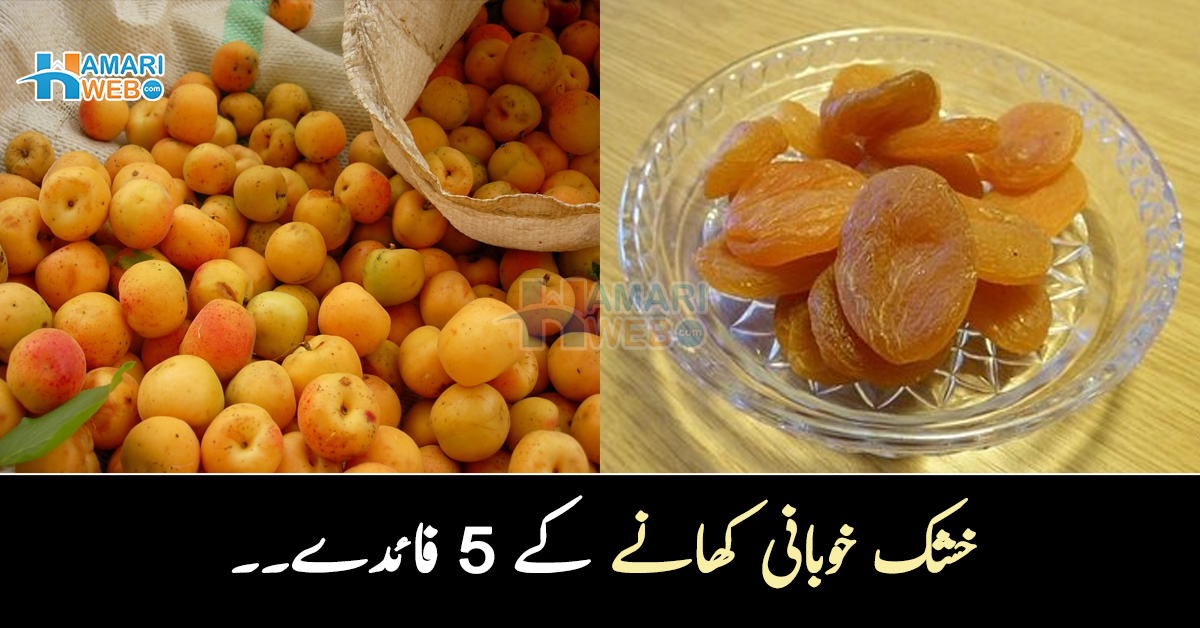 خشک خوبانی کھانے سے کیا ہوتا ہے؟ اس کے 5 کمالات جن سے آپ بھی فائدہ اٹھا سکتے ہیں