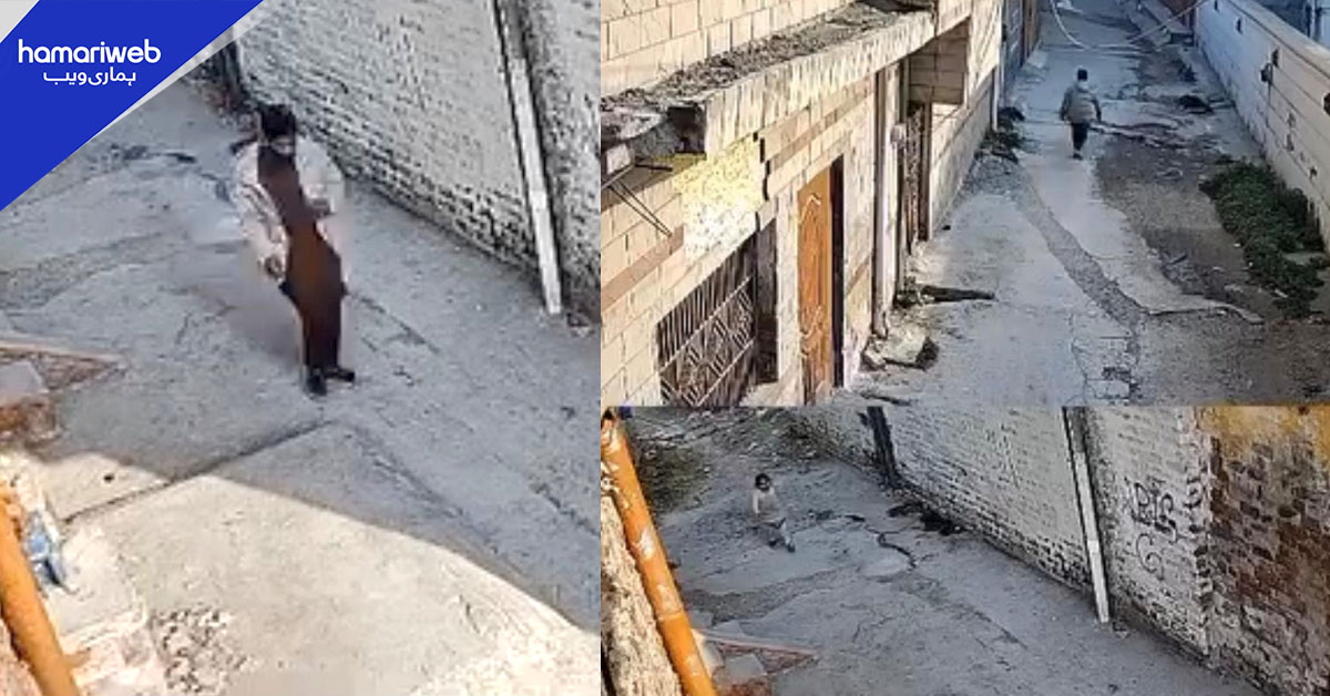 راولپنڈی: بچی کے کانوں سے بالیاں نوچنے والے رہزن کی تلاش میں پولیس سرگرداں 