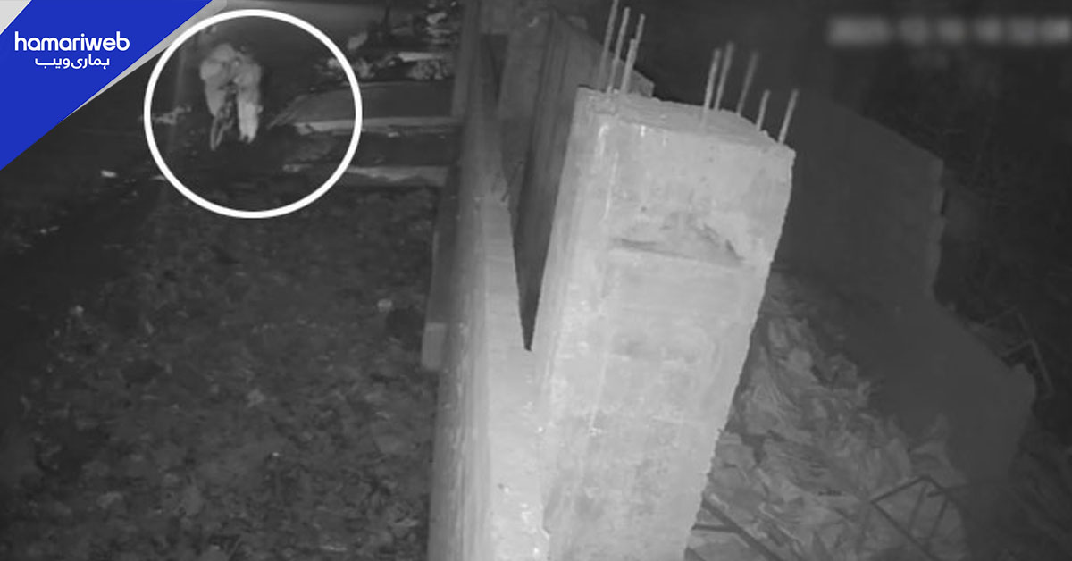 کراچی: انتظامیہ کی غفلت، بزرگ شہری نالے میں گر کر جاں بحق