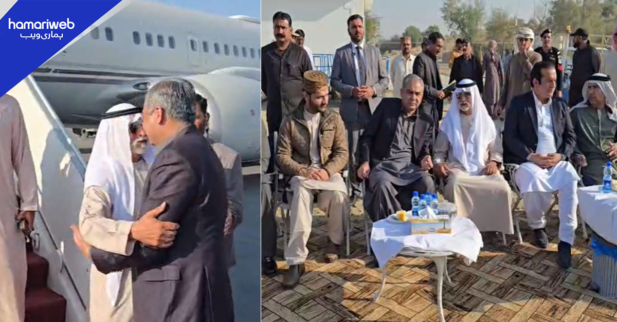 یو اے ای کے وزیر کی خیرپور آمد، محسن نقوی نے پرتپاک استقبال کیا
