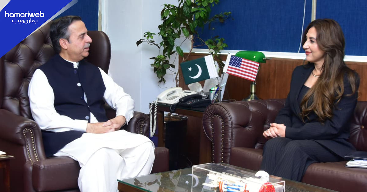 پاکستان اور امریکا کے درمیان بحری شعبے میں تعاون، تجارت اور سرمایہ کاری کے فروغ پر اتفاق