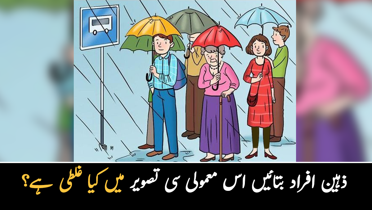 ذہین افراد کے لیے نیا چیلنج ۔۔ اس معمولی تصویر کو دیکھ کر بتائیں کہ اس میں کیا غلطی چھپی ہے؟ اس پہیلی کا جواب کم ہی افراد دے پائیں گے