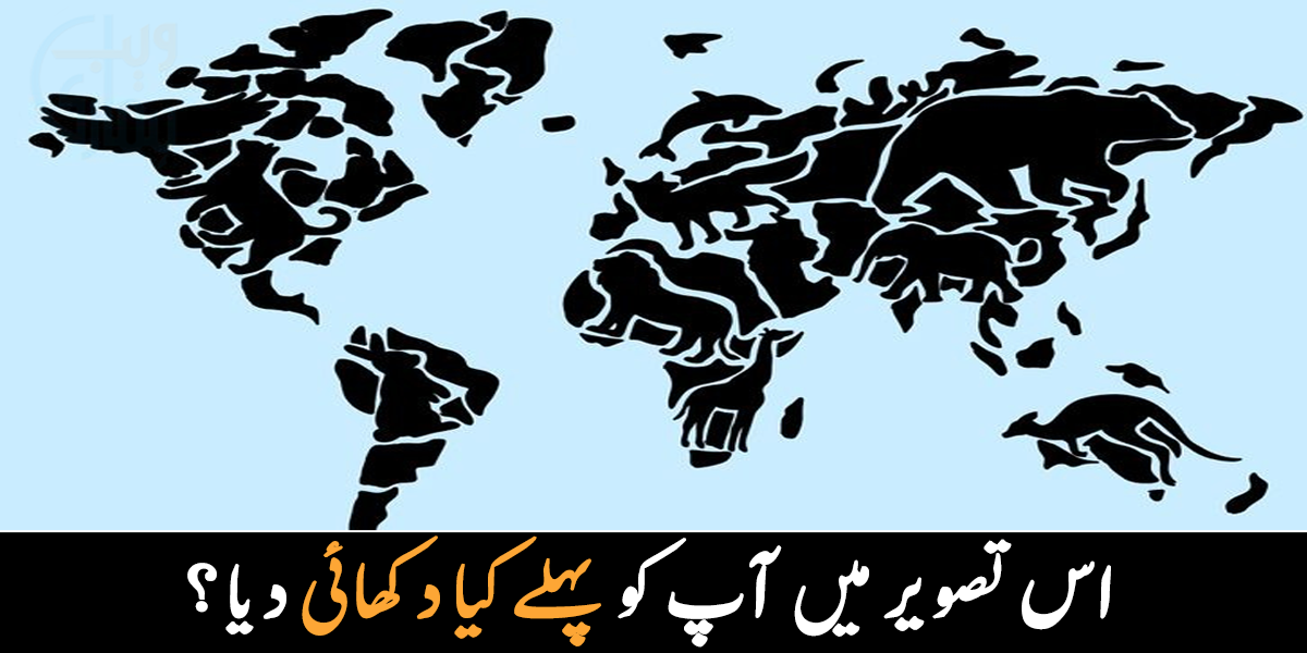 آپ نے کون سا جانور پہلے دیکھا؟ جانیے یہ تصویر آپ کی شخصیت کے بارے میں کیا کہتی ہے؟