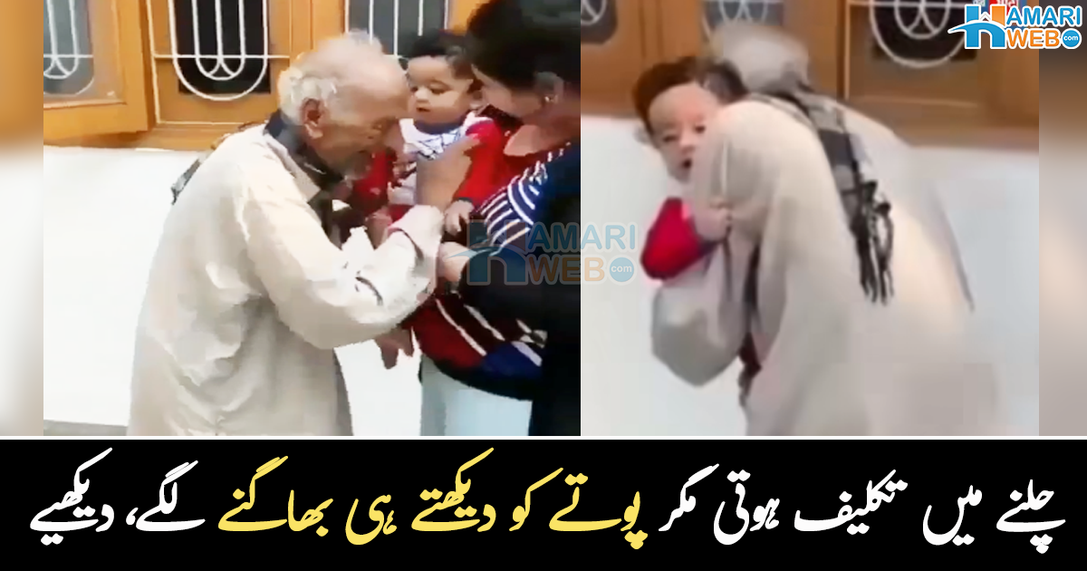 اچانک پوتا سامنے آ گیا۔۔ کئی سال بعد بوڑھے دادا کی آخری خواہش کیسے پوری ہوئی؟ دیکھیے وائرل ویڈیو
