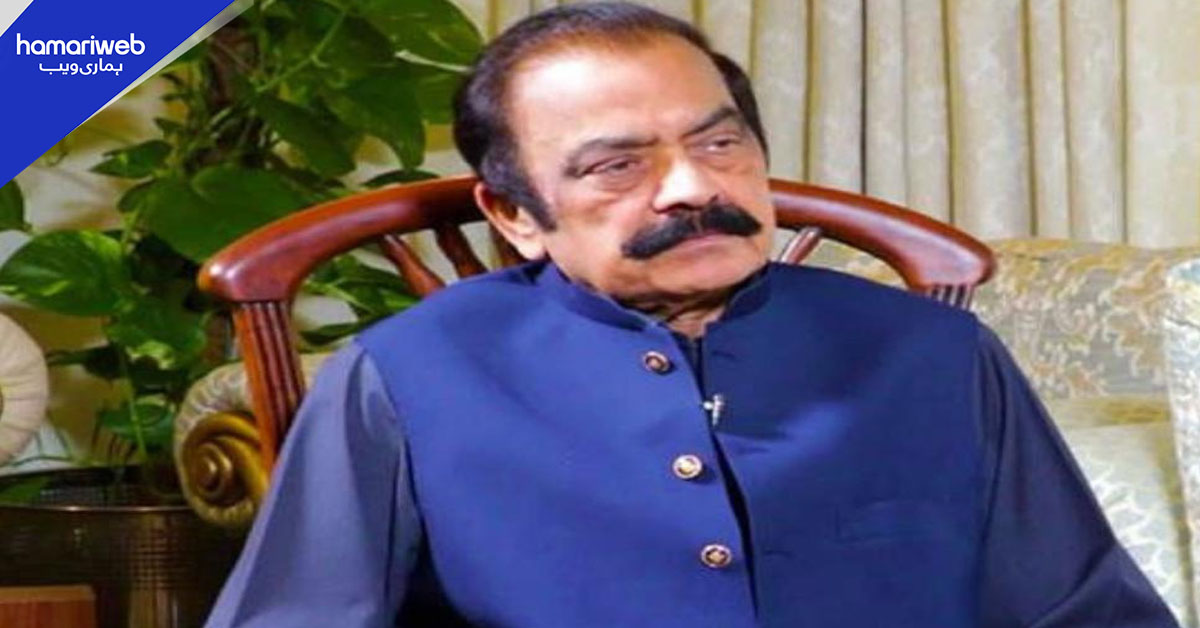 ڈیل مسترد کرنے کی بات 24 نومبر کے احتجاج کے تناظر میں کی، رانا ثناء اللہ کی وضاحت