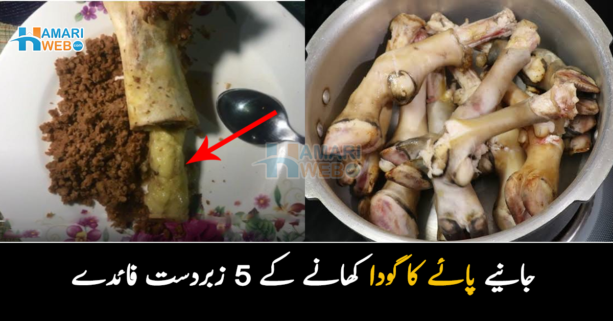 اس کا گودا کھانا پسند نہیں کرتے تو ٹہریں.. جانیے پائے کا گودا کھانے کے 5 زبردست فائدے