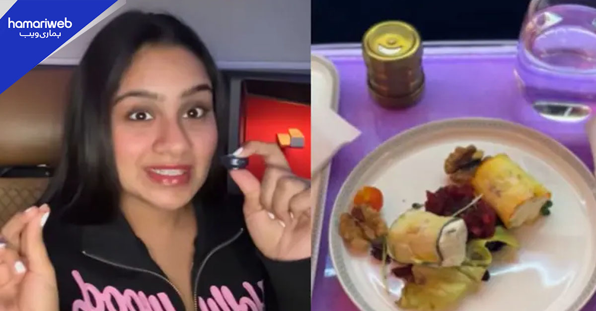 ایئر انڈیا بزنس کلاس کے کھانے سے مردہ مکھیاں نکل آئیں، فوڈ بلاگر کی ویڈیو وائرل