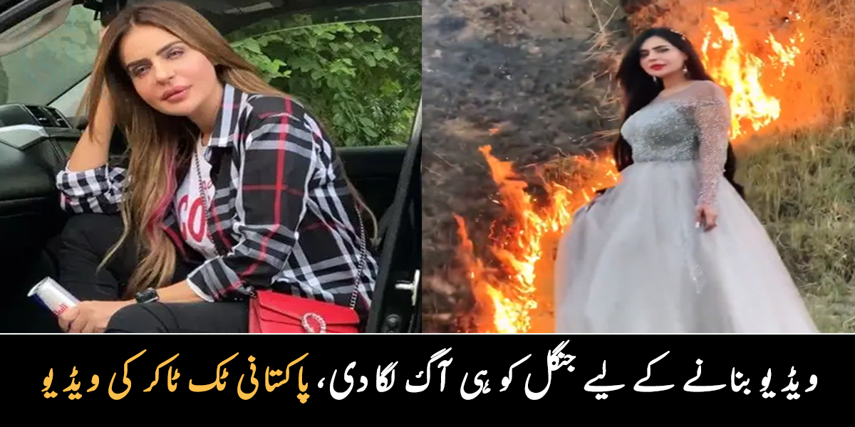 ویڈیو بنانے کے لیے جنگل کو ہی آگ لگا دی ۔۔ مشہور پاکستانی ٹک ٹاکر نے مارگلہ کے پہاڑوں پر کیا کیا؟ ویڈیو وائرل