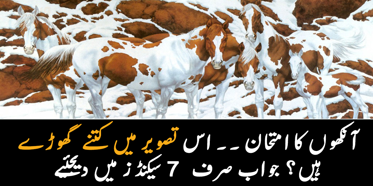 آنکھوں کا امتحان ۔۔ اس تصویر میں کتنے گھوڑے ہیں؟ جواب صرف 7 سیکنڈز میں دیجئیے