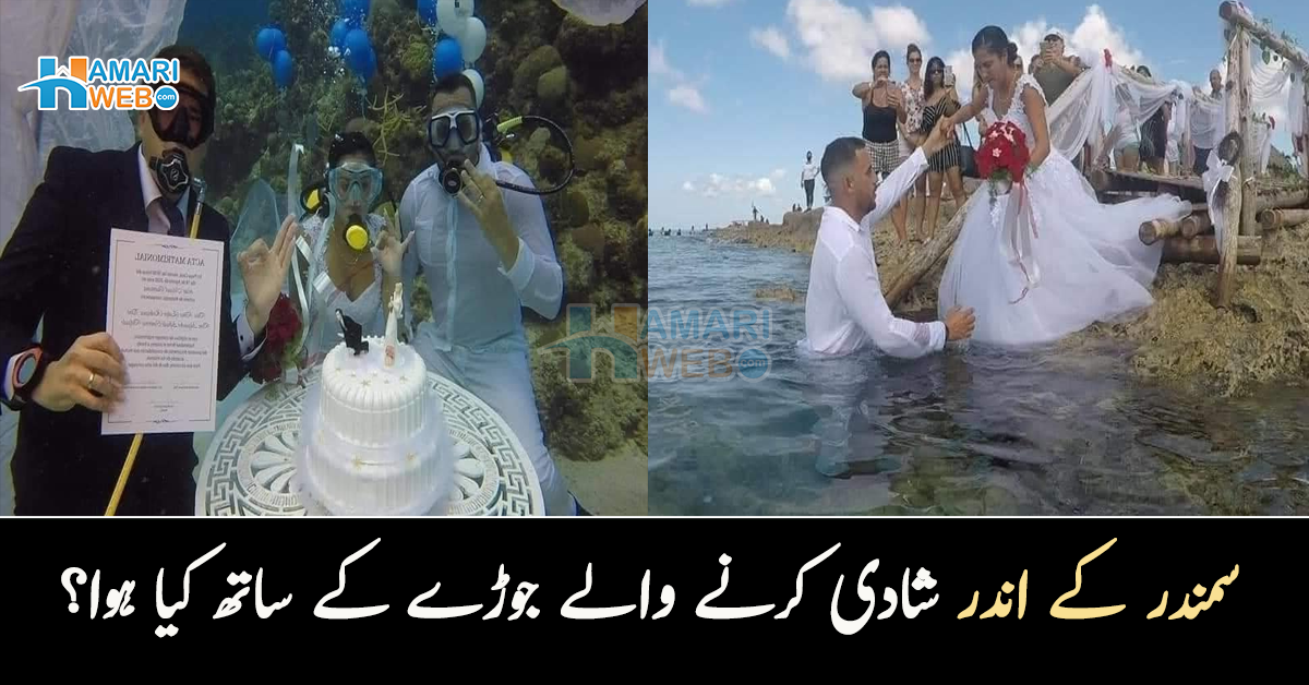 کیک بھی گیلا کردیا۔۔ سمندر کے اندر شادی کرنے والے جوڑے کے ساتھ کیا ہوا؟ دلچسپ تصویریں وائرل 