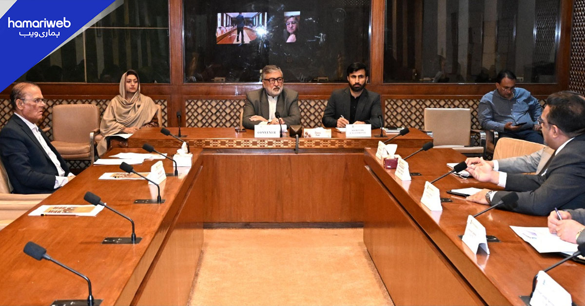 سینیٹ کی قائمہ کمیٹی نے NAVTTC سے کارکردگی کا ریکارڈ طلب کرلیا