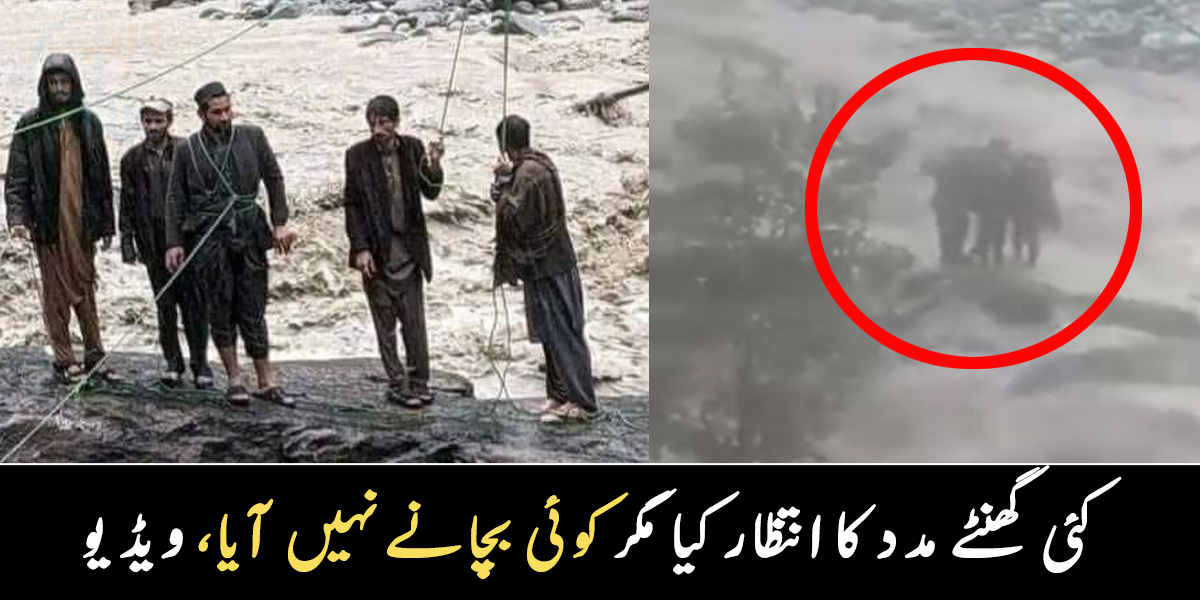 کوئی تو ہماری مدد کرو ۔۔ کئی گھنٹوں سے پھنسے تھے، مدد کا انتظار کرنے والے 5 بھائیوں کو سیلابی ریلا بہا لے گیا، ویڈیو