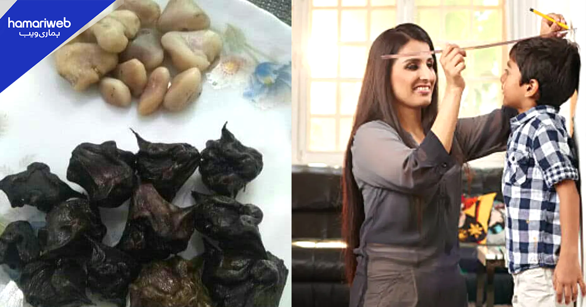 خون کی کمی دور کرنے سے بچوں کا قد بڑھانے تک۔۔ جانیں فائدہ مند سنگھاڑا کو 6 ماہ تک محفوظ رکھنے کا طریقہ 