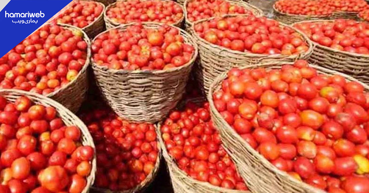 اسلام آباد میں ٹماٹر 400 روپے فی کلو تک پہنچ گیا