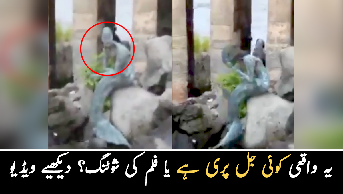  دریا کے کنارے ایک عجیب مخلوق کو دیکھا گیا۔۔ یہ واقعی کوئی جل پری ہے یا فلم کی شوٹنگ؟