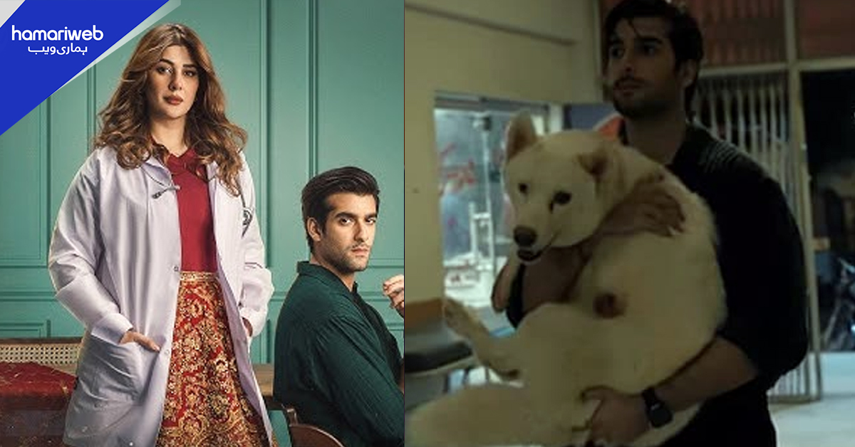 ڈرامہ ڈاکٹر بہو میں اہم غلطیوں کی نشاندہی، سوشل میڈیا پر تنقید شروع