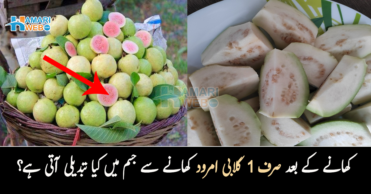 کھانے کے بعد صرف 1 گلابی امرود کھانے سے جسم میں کیا تبدیلی آتی ہے؟ عام سے پھل کے خاص فائدے