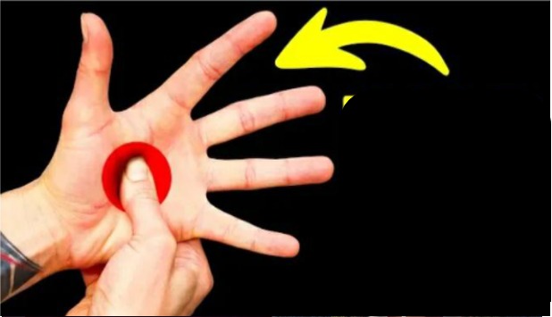آپ کی ہتھیلی میں کون سا بڑا راز چھپا ہے؟ صرف ہاتھ کی اس جگہ کو زور سے دبائیں اور حیران رہ جائیں
