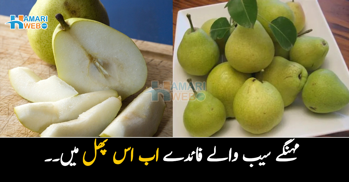 مہنگے سیب والے فائدے اب اس پھل میں۔۔ ڈاکٹر ناشپاتی کے کون سے زبردست فائدے بتاتے ہیں؟