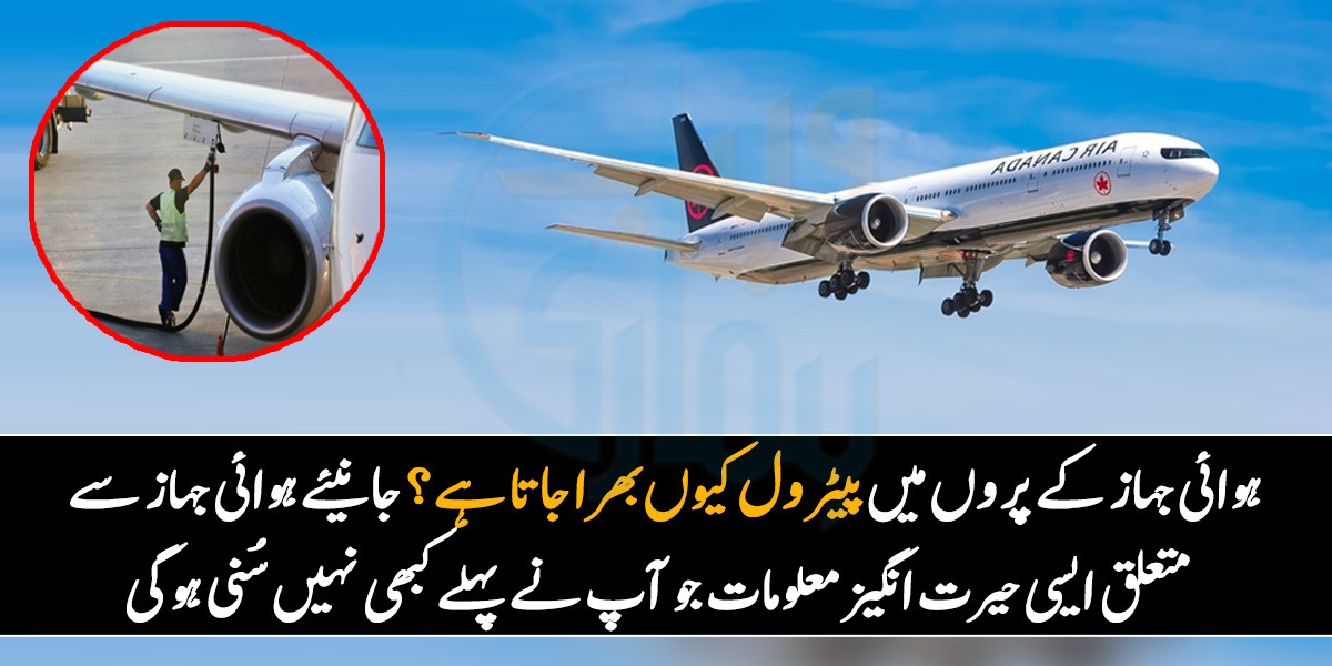 ہوائی جہاز کے پروں میں پیٹرول کیوں بھرا جاتا ہے؟ جانیئے ہوائی جہاز سے متعلق ایسی حیرت انگیز معلومات جو آپ نے پہلے کبھی نہیں سُنی ہوگی