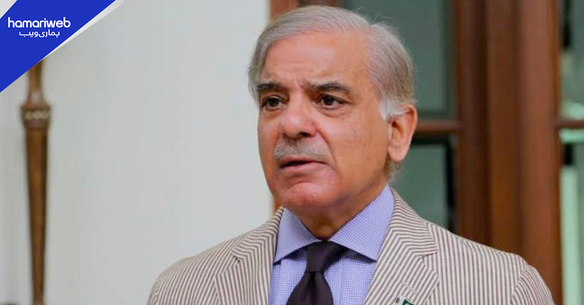 پاکستان کی براکہ نیوکلیئر انرجی پلانٹ پر حملے کی مذمت، عالمی قوانین کی خلاف ورزی قرار